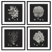 Prints EC191 Black & Tan Corals set of 4