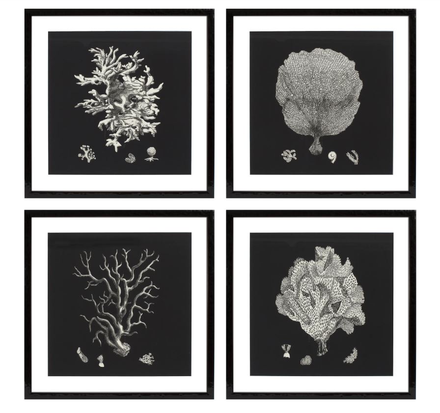 Prints EC191 Black & Tan Corals set of 4