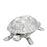 Box Tortoise S