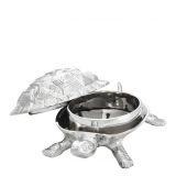 Box Tortoise S2