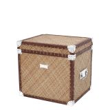 FlightcaseCane