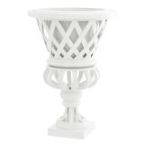 Planter Cypress