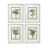 PrintPalms