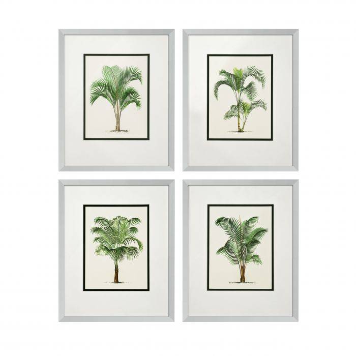 Print Paumes Silver colour frame | clear glass Set of 4