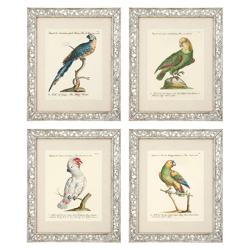 Print AVES I set of 4 Antique mirror glass frame | clear glass