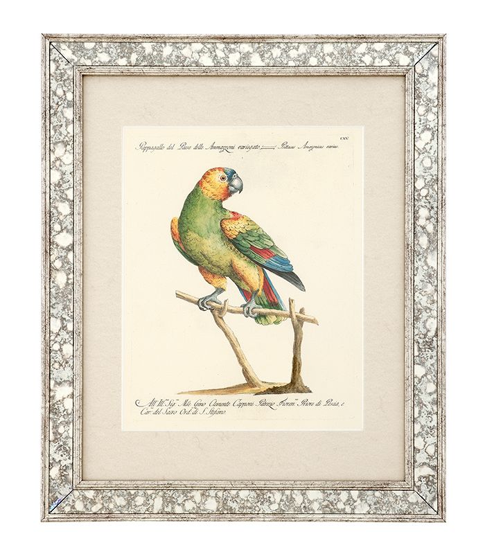 Print AVES I set of 4 Antique mirror glass frame | clear glass