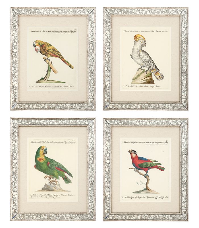 Print AVES II set of 4 Antique mirror glass frame | clear glass