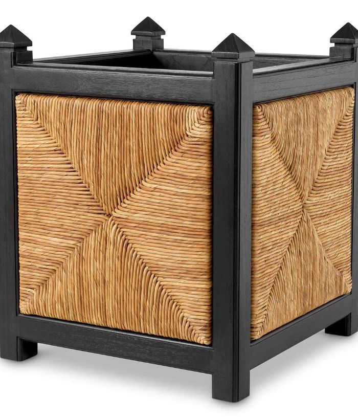 Planter Milania
