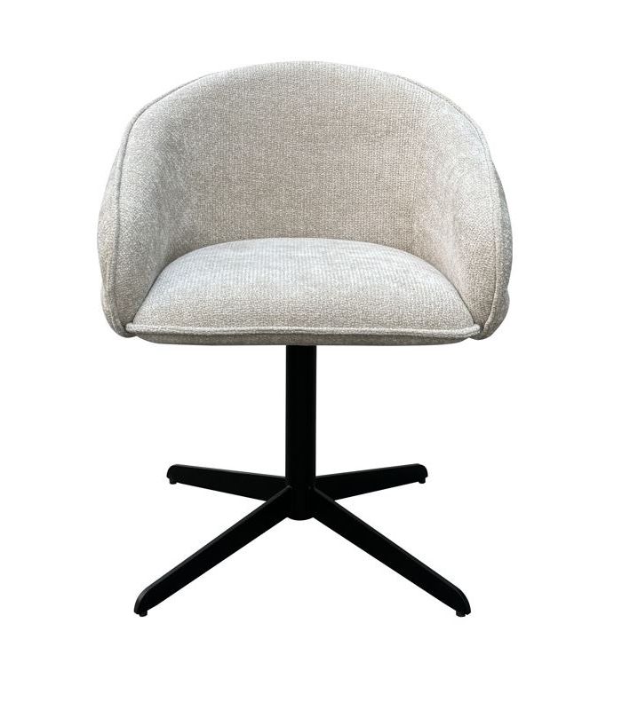 Chair Dana Snyder