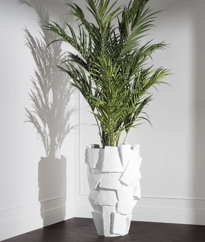 Planter Lucina