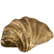 Object Anturio